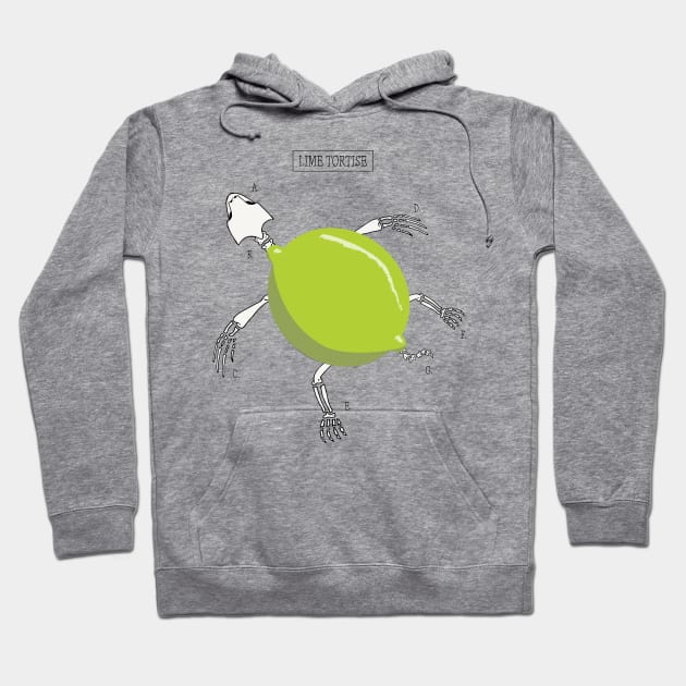 Lime Tortoise / Tortuga de Lima Hoodie by Theokotos